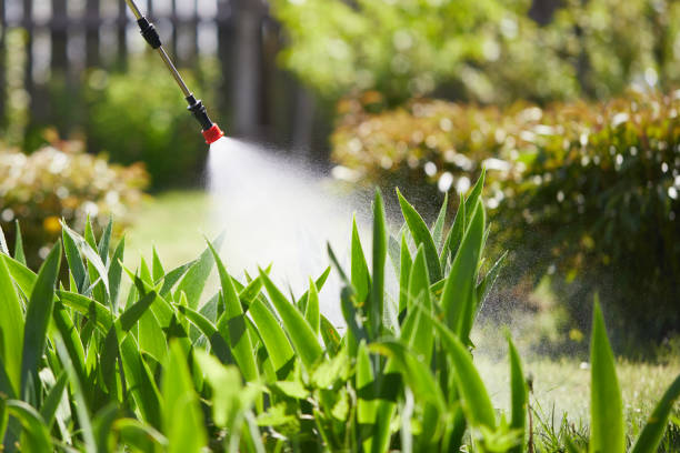 Tamper-Resistant Bait Stations for Rodents in Bradford