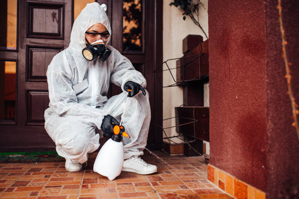 Attic and Crawl Space Rodent Treatment in Bradford